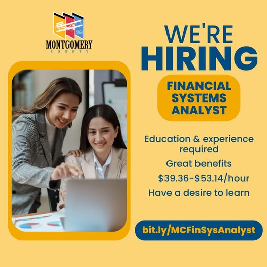 Vacante: Financial Systems Analyst